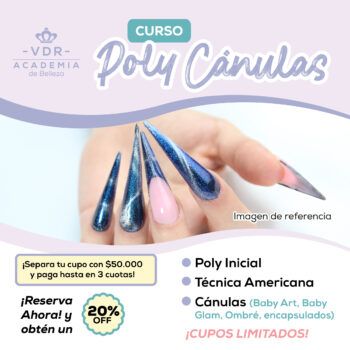 Curso Poly Cánulas